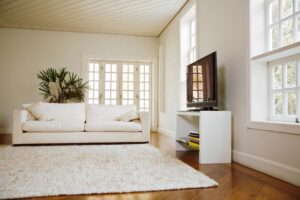 Carpet Cleaning