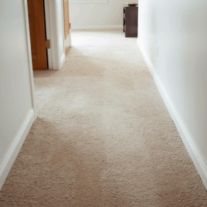 High-traffic carpet area in a home showing subtle wear from everyday use